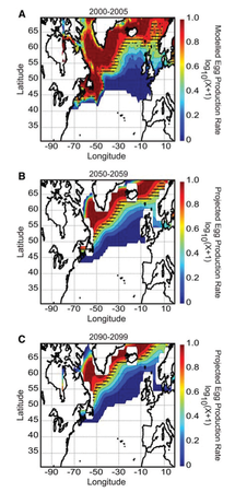projected-cod-egg-production-rate