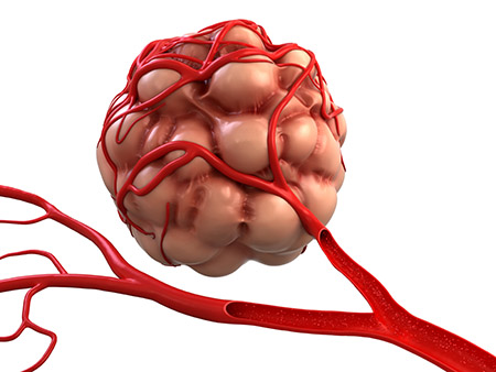 38B3-blood-supply.jpg