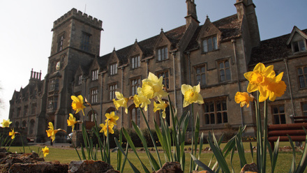 daffodils.jpg