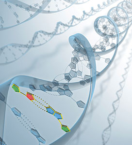 dna-double-helix