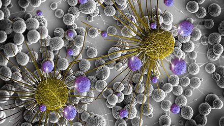 cancer-cells.jpg