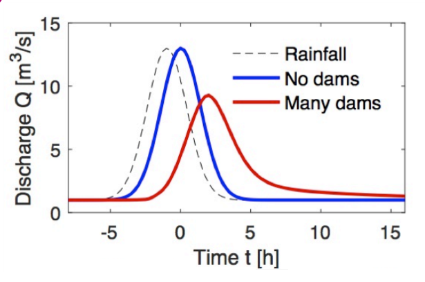 Discharge hydrographs predicted by the model