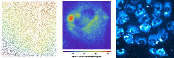 Ben-Calverley-research.jpg