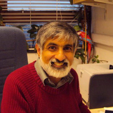 Philip K Maini