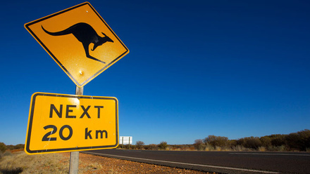 kangaroo-sign.jpg