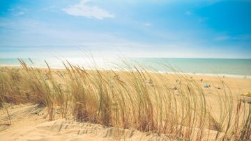 Predicting Climate Change Sandy beach