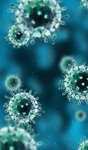 viruses