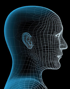 wireframe-head