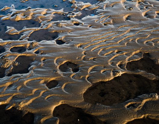 ross-bay-mud