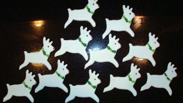 reindeer