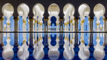 Lost in a reflection