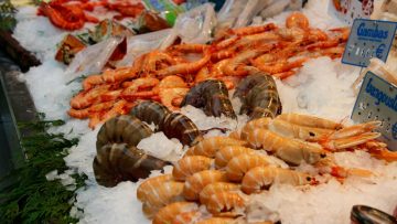 shellfish