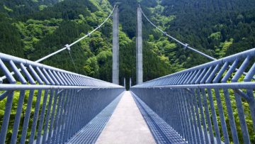IMG_3491-Bridge