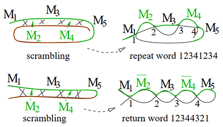 Discovering-Patterns-in-a-Scrambled-Genome-figure-4