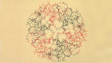 Dorothy-Crowfoot-Hodgkin-Insulin-Map