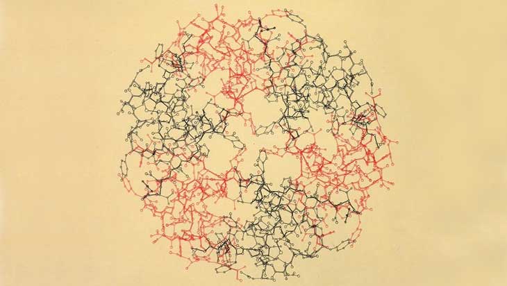 Dorothy-Crowfoot-Hodgkin-Insulin-Map