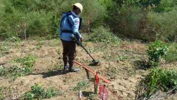A person wearing a hard hat and protective vest searches a section of a minefield using a metal detctor