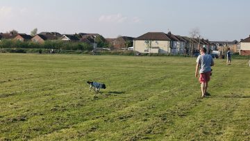 Walking the dog