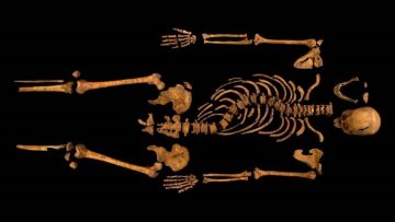 Richard-III-Skeleton