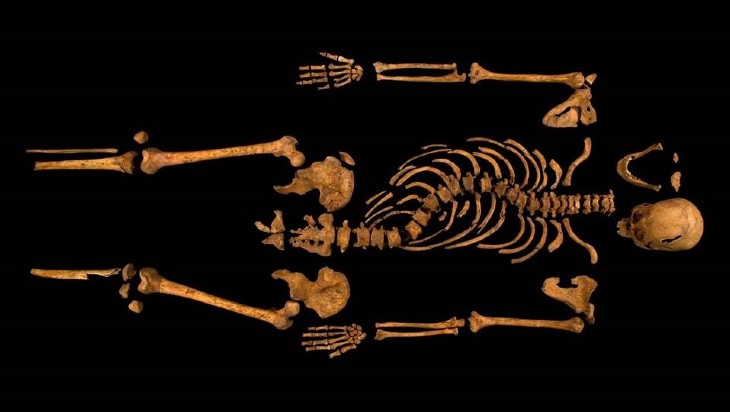 Richard-III-Skeleton