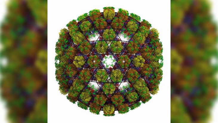 Virus