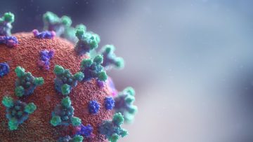 The covid virus shown in red, blue and green. The background is out of focus and a blue-grey colour.