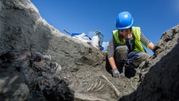 An archeaologist wearing a hi-vis jacket and blue hard hat crouches in a hole