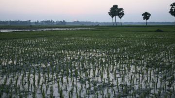 Ganges–Brahmaputra delta