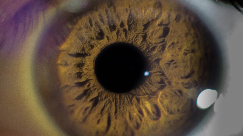 Close up image of an eye