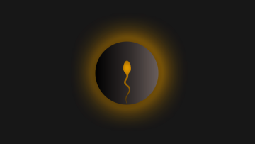Illustration of conception