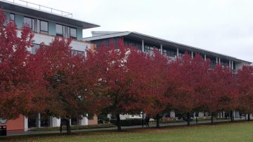 University of Warwick