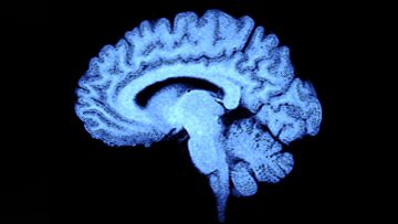 Interview with Professor Hannah Fry HonFREng FIMA Brain